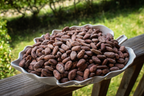 Öko Caribe 37% White Chocolate | Single-Origin Dominican Republic Bean-to-Bar Chocolate