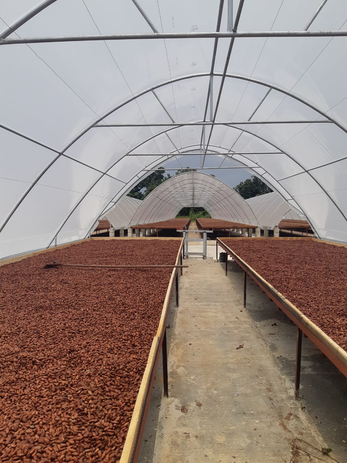 Öko Caribe 42% White Chocolate with Almond & Spices | Dominican Republic Bean-to-Bar